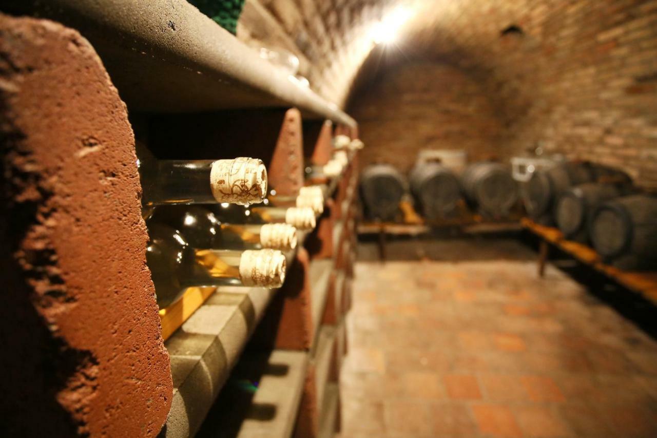 Maison d'hôtes U Vinice